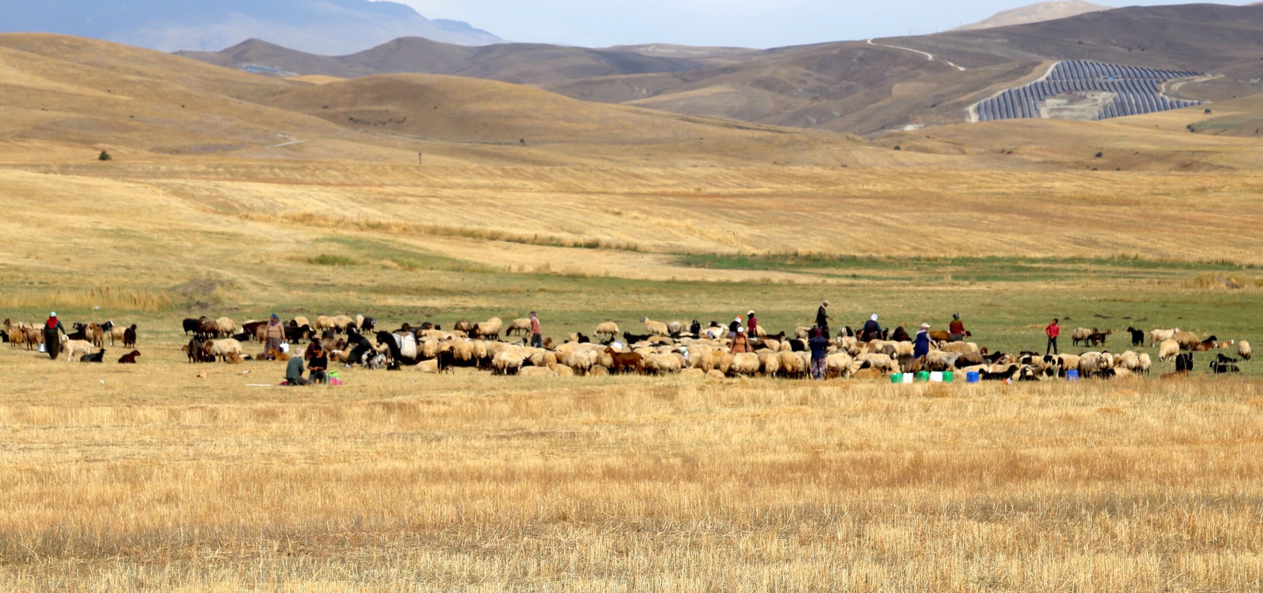 Bitlis