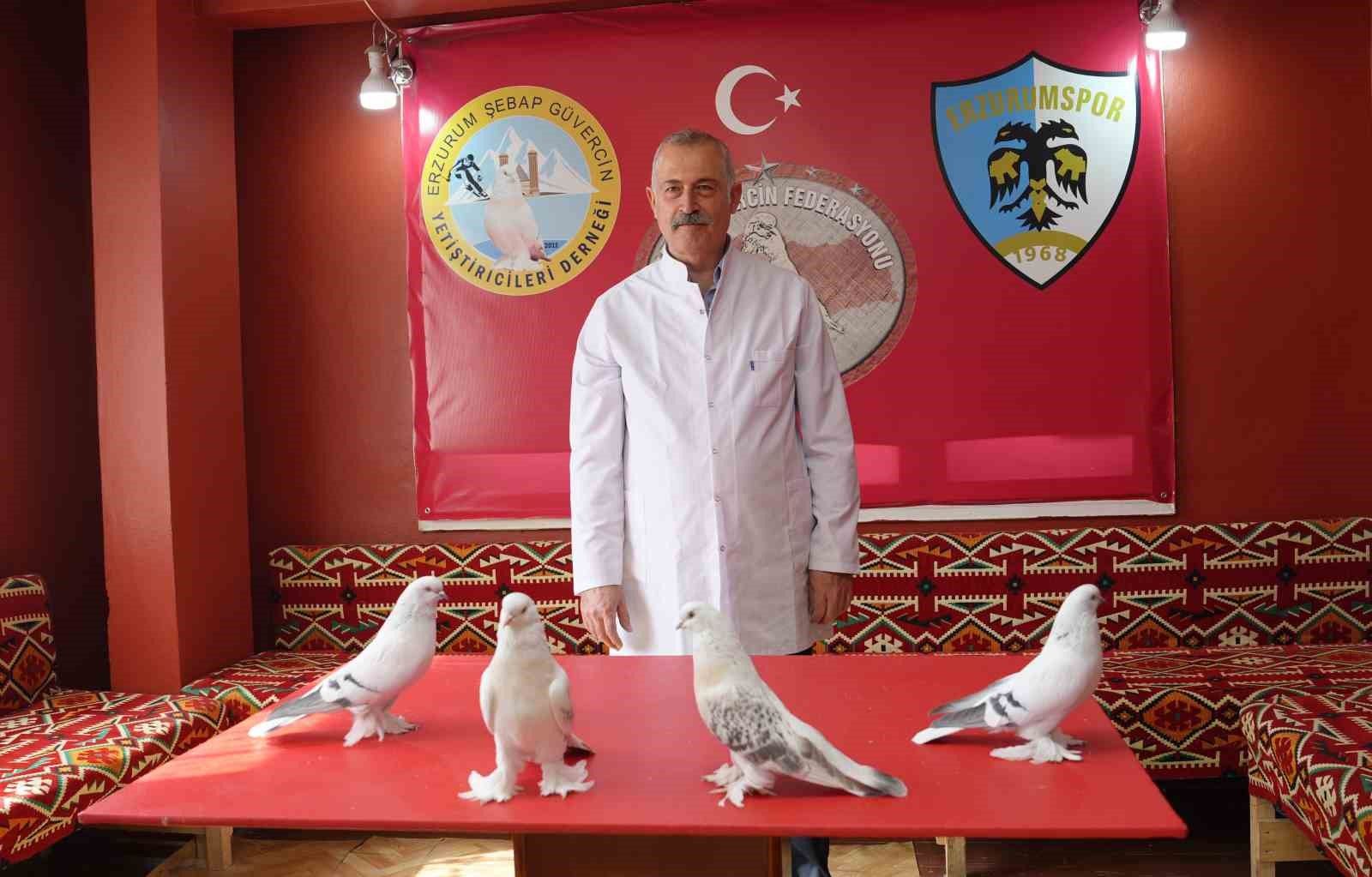 40 güvercini için ev kiraladı: Her ay 10 bin TL ödüyor