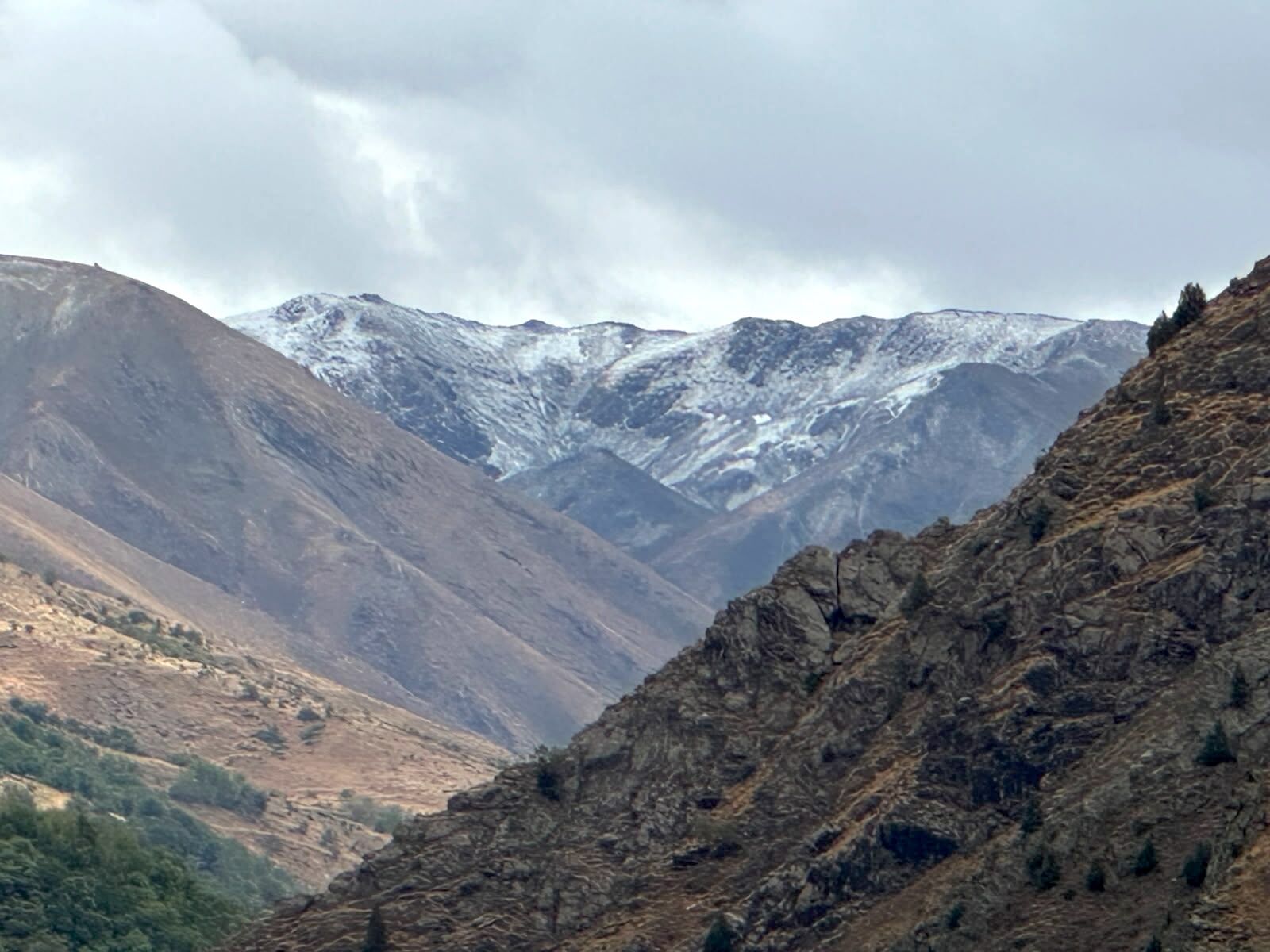 Bitlis