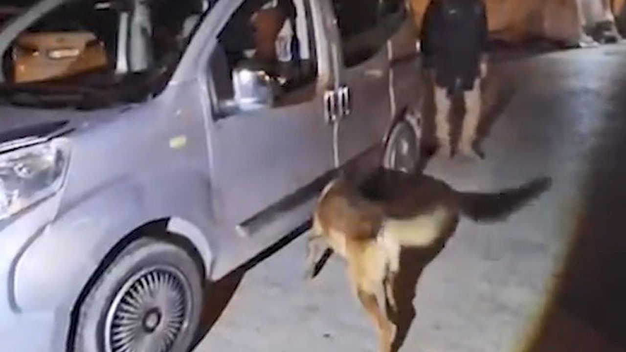 Bitlis’te yasaklı madde operasyonu: 1 kişi tutuklandı