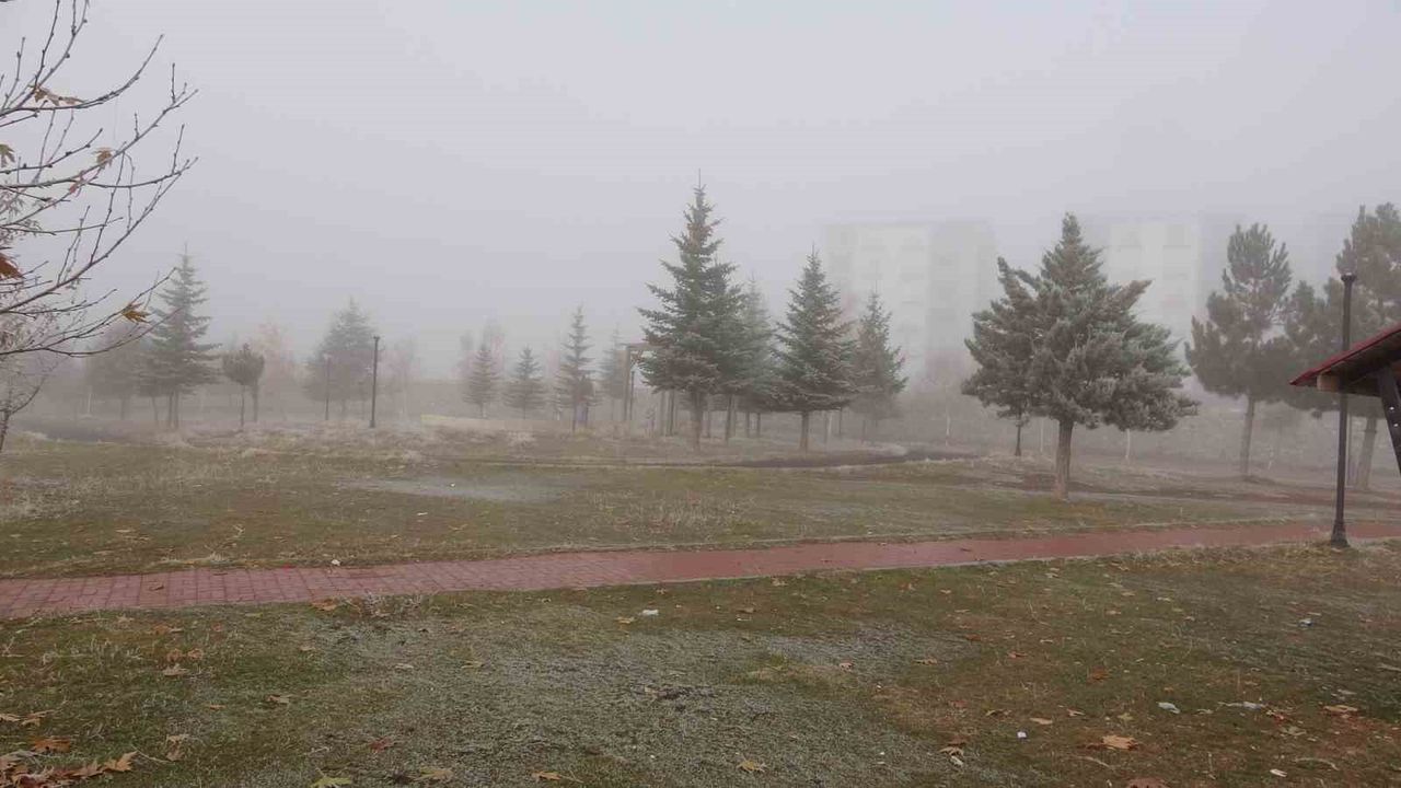 Bitlis'te soğuk hava ve sis sürücülere zor anlar yaşattı