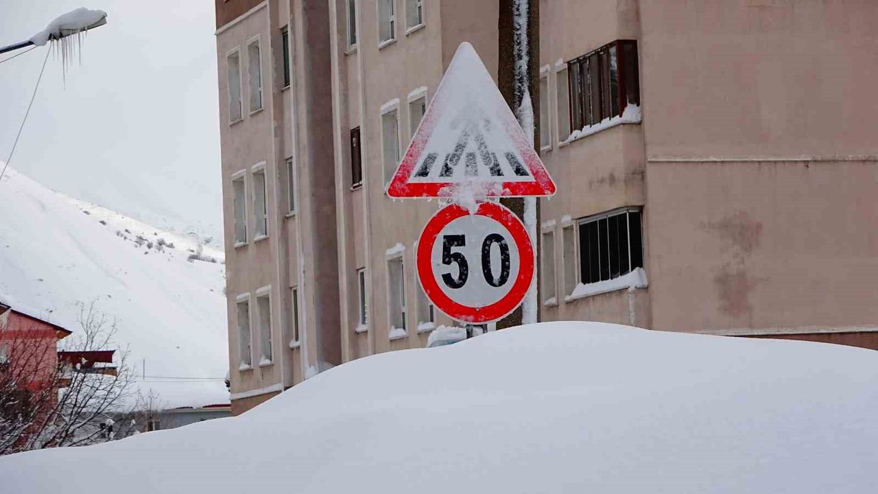 Bitlis’te kar yağışı hayatı felç etti: 294 köy yolu ulaşıma kapandı