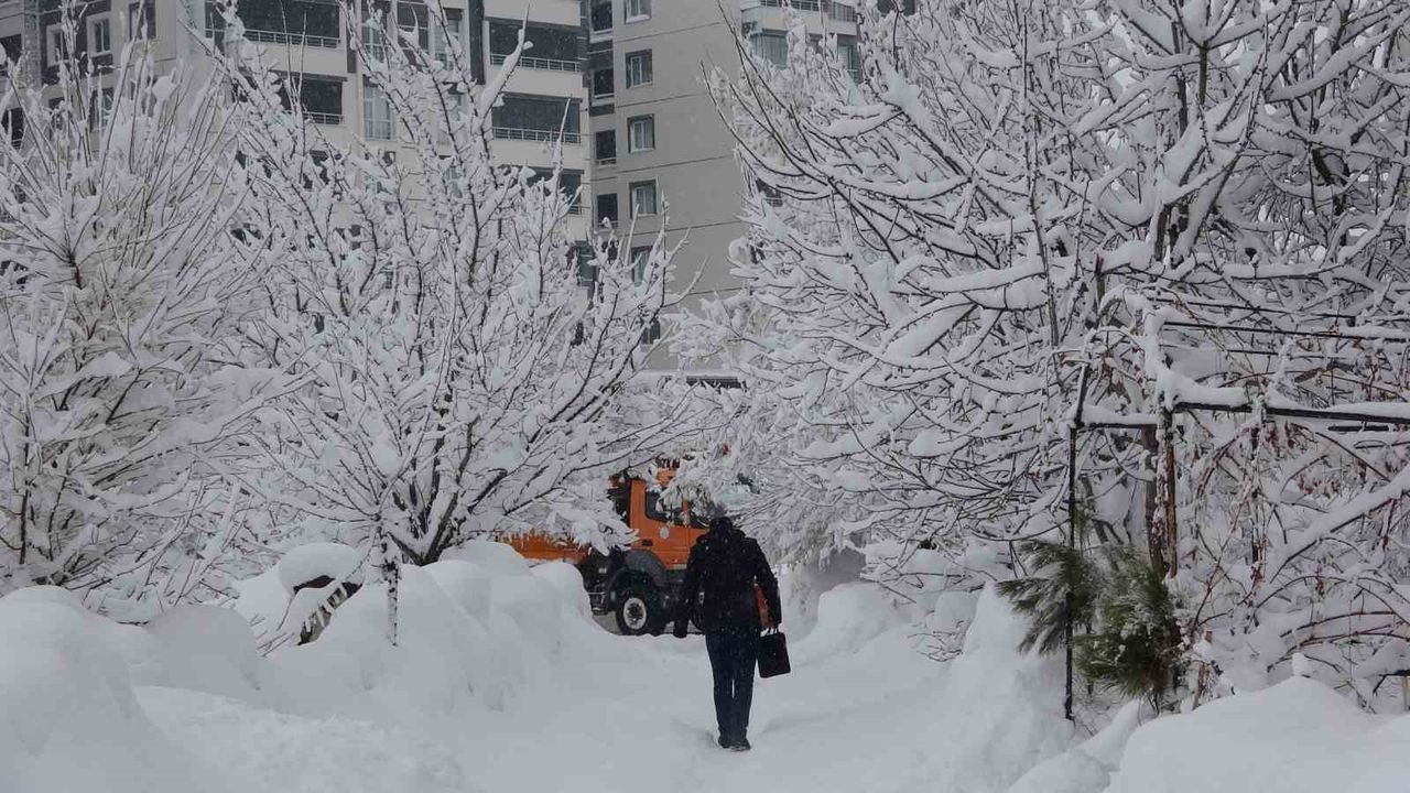Bitlis'te kar yağışı yeniden etkisini gösterdi