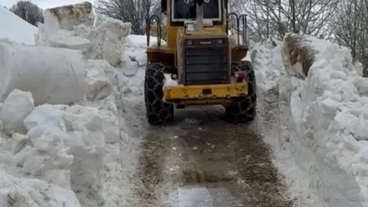 Bitlis’te 5 metreyi bulan kar yığını ulaşıma açıldı