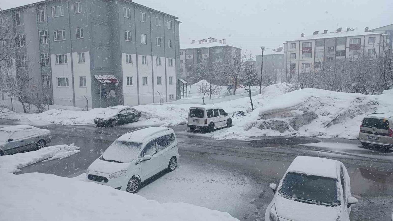Bitlis’te mevsimler şaştı: Kar yağışı hayatı olumsuz etkiliyor