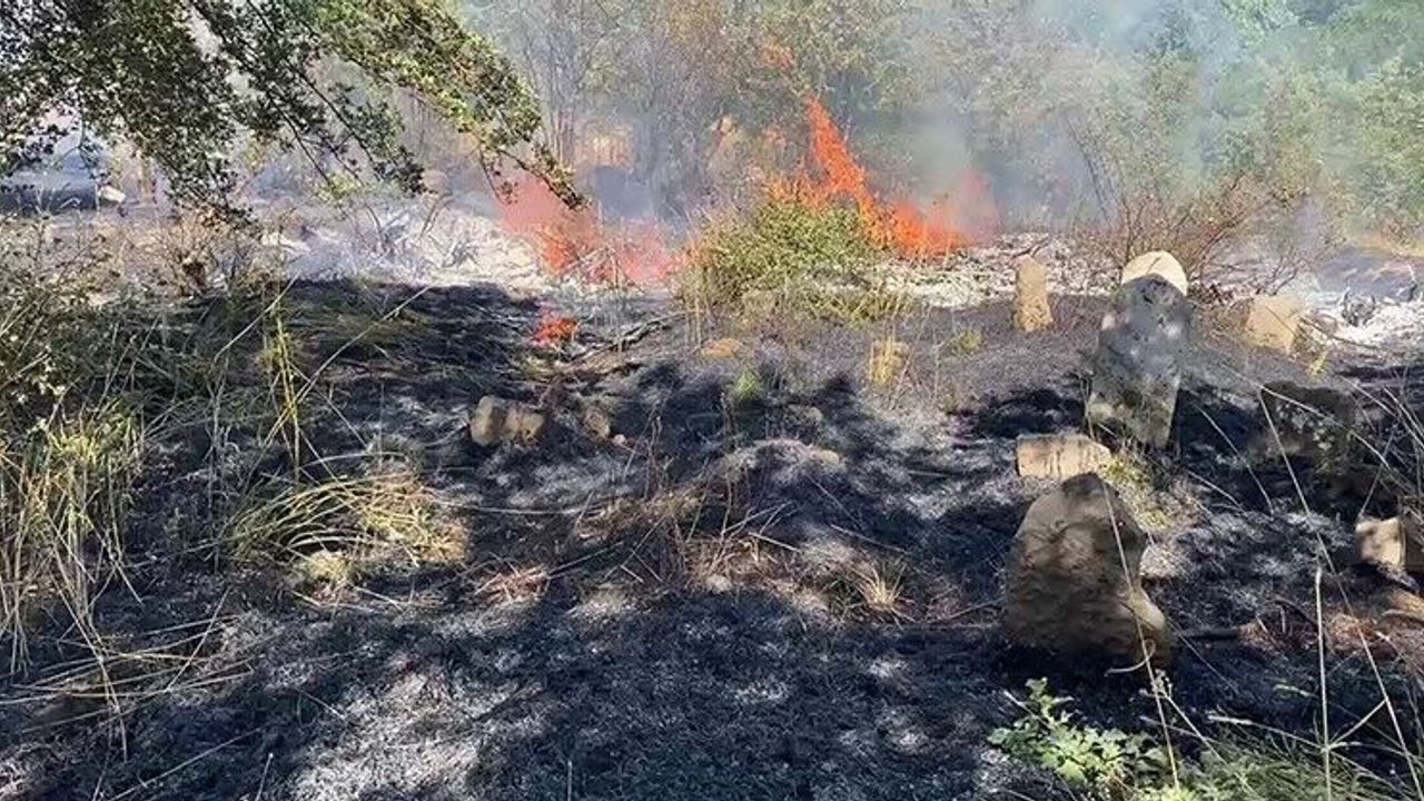 Bitlis'te art arda çıkan yangınlar korkuttu