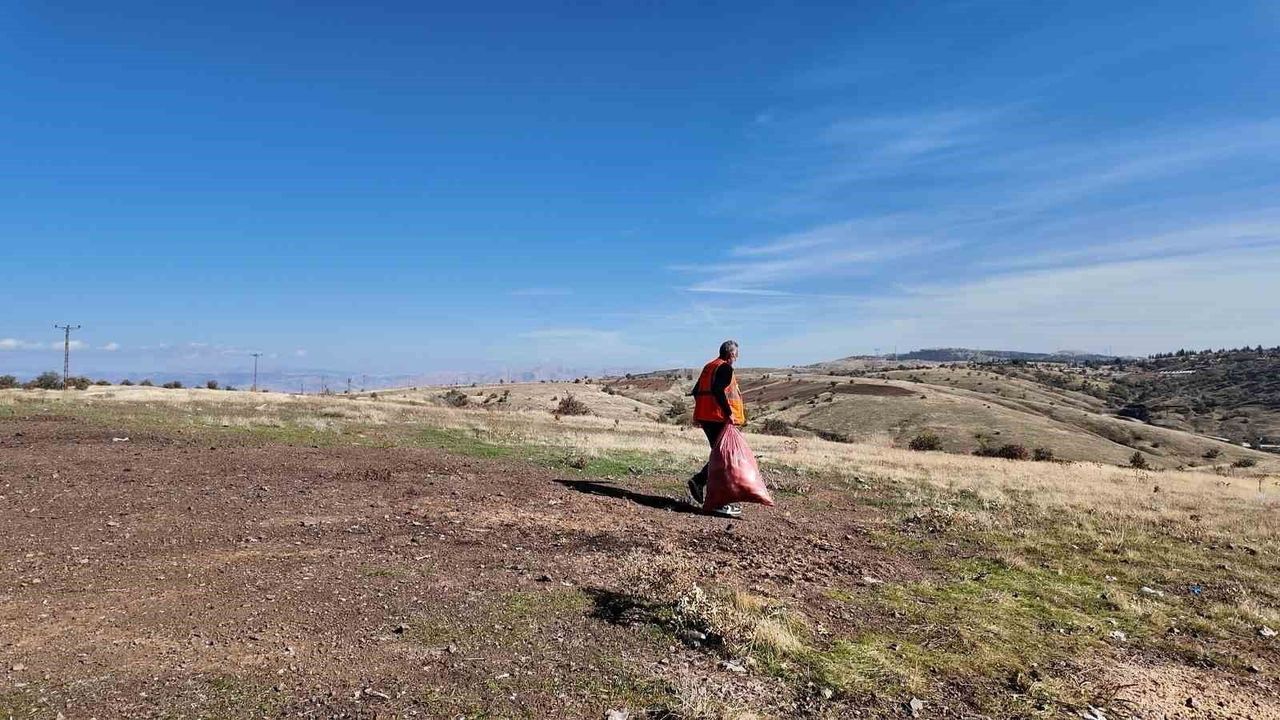 Elazığ Belediyesi sokak hayvanlarını unutmadı