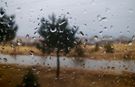 Ahlat’ta yağmur yağışı etkili oldu