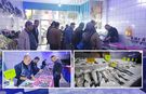 Ahlat’ta soğuk havalarla birlikte balık satışları arttı