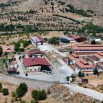 Sokak hayvanlarına umut oldu: 15 bin can tedaviyle sağlığına kavuştu