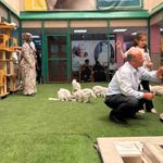 Van kedilerine yaz tatilinde ziyaretçi akını