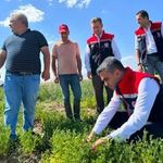 Erzurum'da tarımsal destekler üretime katkı sağlıyor