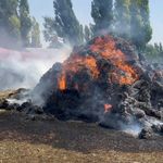 Kars'ta bin ot balyası kül oldu