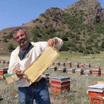 Oltu'da arıcılar sezonun ilk balını hasat etti