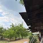 Ahlat’ta Ağustos ortasında yağmur sürprizi