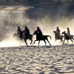 Ahlat’ta Kökbörü Heyecanı: Şampiyon Ulupamir Şumkar