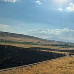 Ahlat-Tatvan yolunda alevler yükseldi! 300 dönümlük alan zarar gördü