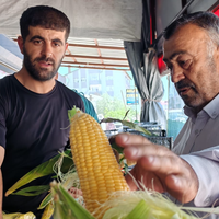 Bitlis