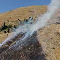 Bitlis