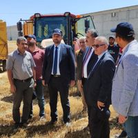 Ahlat