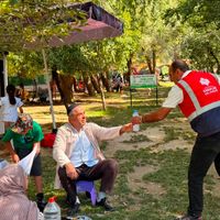 Bitlis