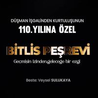 Bitlis