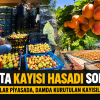 Bitlis