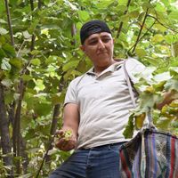 Bitlis