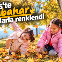 Bitlis