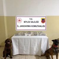 Bitlis