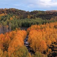 Bitlis