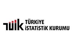 TÜİK iş gücü istatistiklerini açıkladı