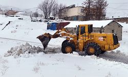 Bitlis il genelinde 165 köy yolundan 107'si tekrar ulaşıma açıldı