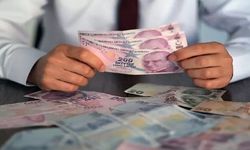 Parasını bankaya yatıran kazanıyor! 2 milyon TL'nin 32 günlük getirisi şaşırttı