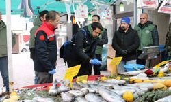 Erzincan’da balık denetimi gerçekleştirildi