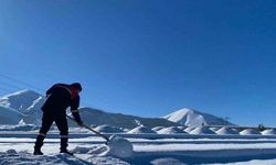 Erzurum'dan soğuk rekoru