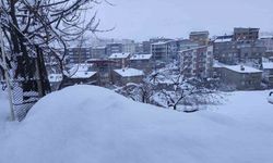 Hakkari’de 190 yerleşim yolu kapandı