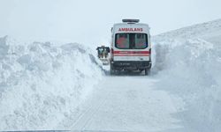 Hayvanından tekme yiyen vatandaşın imdadına jandarma yetişti