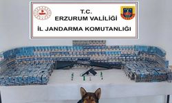 Jandarmadan kaçak sigara operasyonu