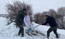 Malatya’da yaban hayvanları için yemleme çalışması