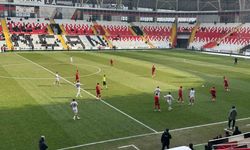 TFF 2. Lig: Erzincanspor: 0 - Altınordu FK:3