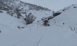 Tunceli için kuvvetli kar yağışı uyarısı