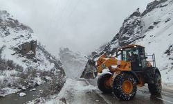 Tunceli’de 1 ilçede tüm okullar tatil edildi, 5 ilçede taşımalı eğitime ara verildi