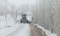 Van’da kar yağışı: 264 yerleşim yerinin yolu kapandı