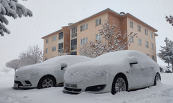 Ahlat’ta kapalı köy yolları açıldı