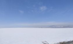 Ahlat'ın Yüksek Kesimleri Beyaza Büründü