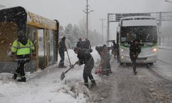 Bitlis'e ilk cemre düştü