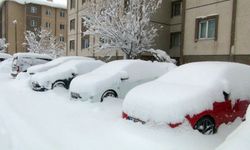 Bitlis'te arabalar kara gömüldü