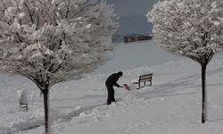 Bu fotoğraflara özlem bitiyor: Ahlat'a beklenen kar geliyor