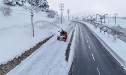 Bitlis’te Karın Ardından Hayat Normale Dönüyor